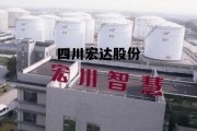 四川宏达股份有限公司磷化工基地，四川宏达股份