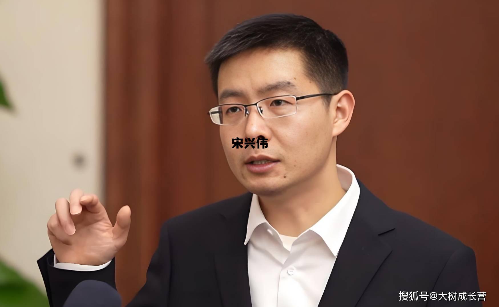 宋兴伟的英文名字，宋兴伟