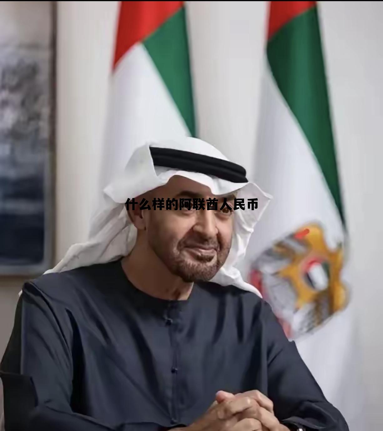 阿联酋的货币叫什么名字，什么样的阿联酋人民币