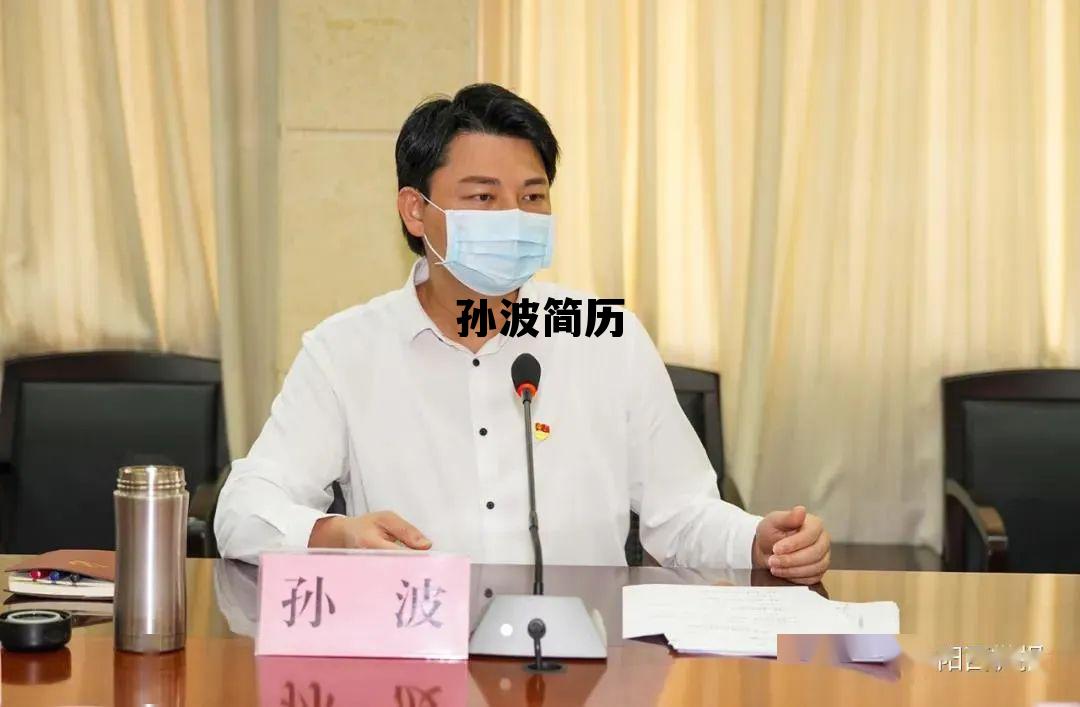 贵州孙波简历,孙波简历 贵州孙波简历,孙波简历