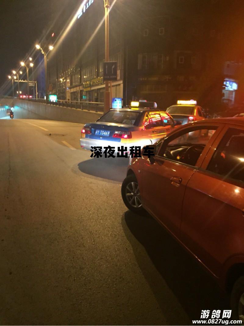 深夜出租车复仇，深夜出租车