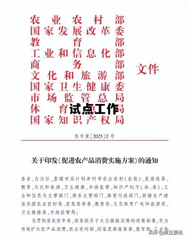 首次组织开展三类可信数据空间试点工作，试点工作
