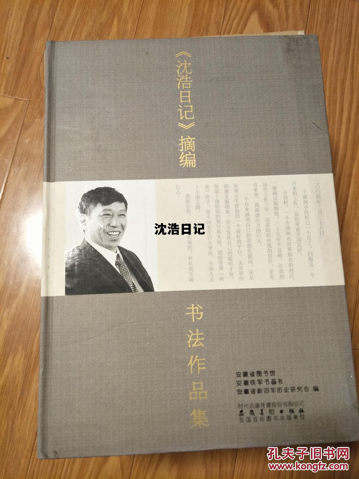 沈浩日记正版阅读，沈浩日记