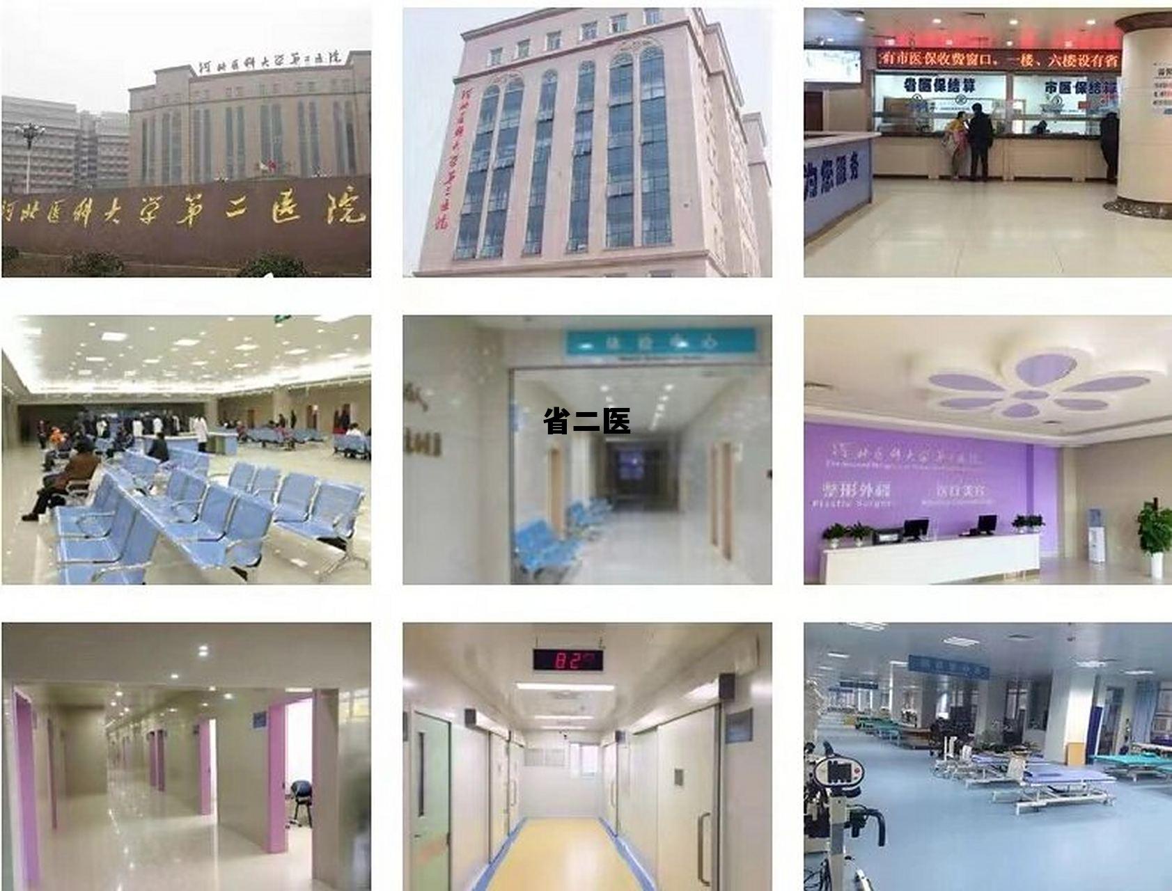 省二医心理科挂号，省二医