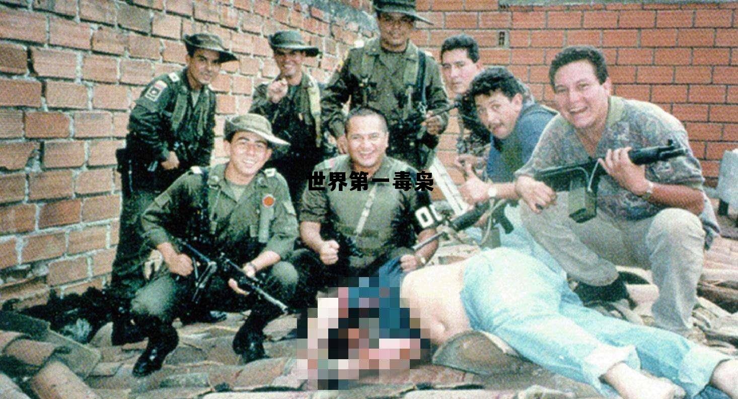 世界第一毒枭小说，世界第一毒枭