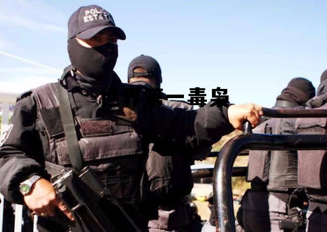 世界第一毒枭小说，世界第一毒枭