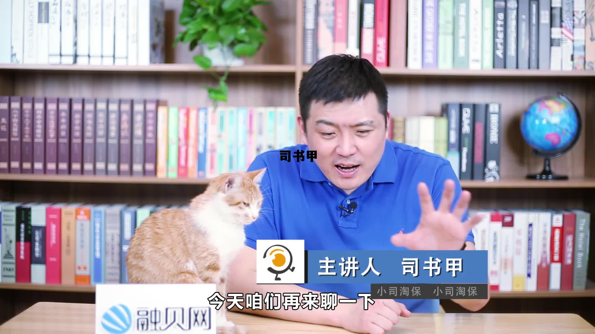 司书甲融贝网2025年，司书甲